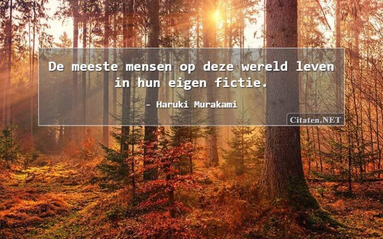 Fictie