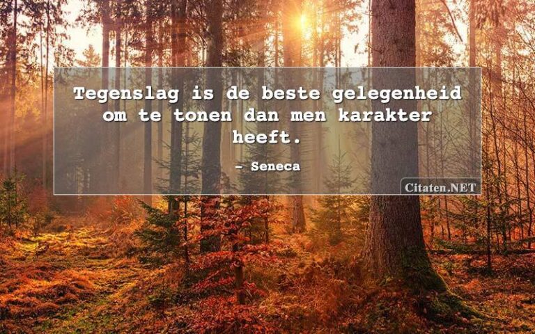 Tegenslag
